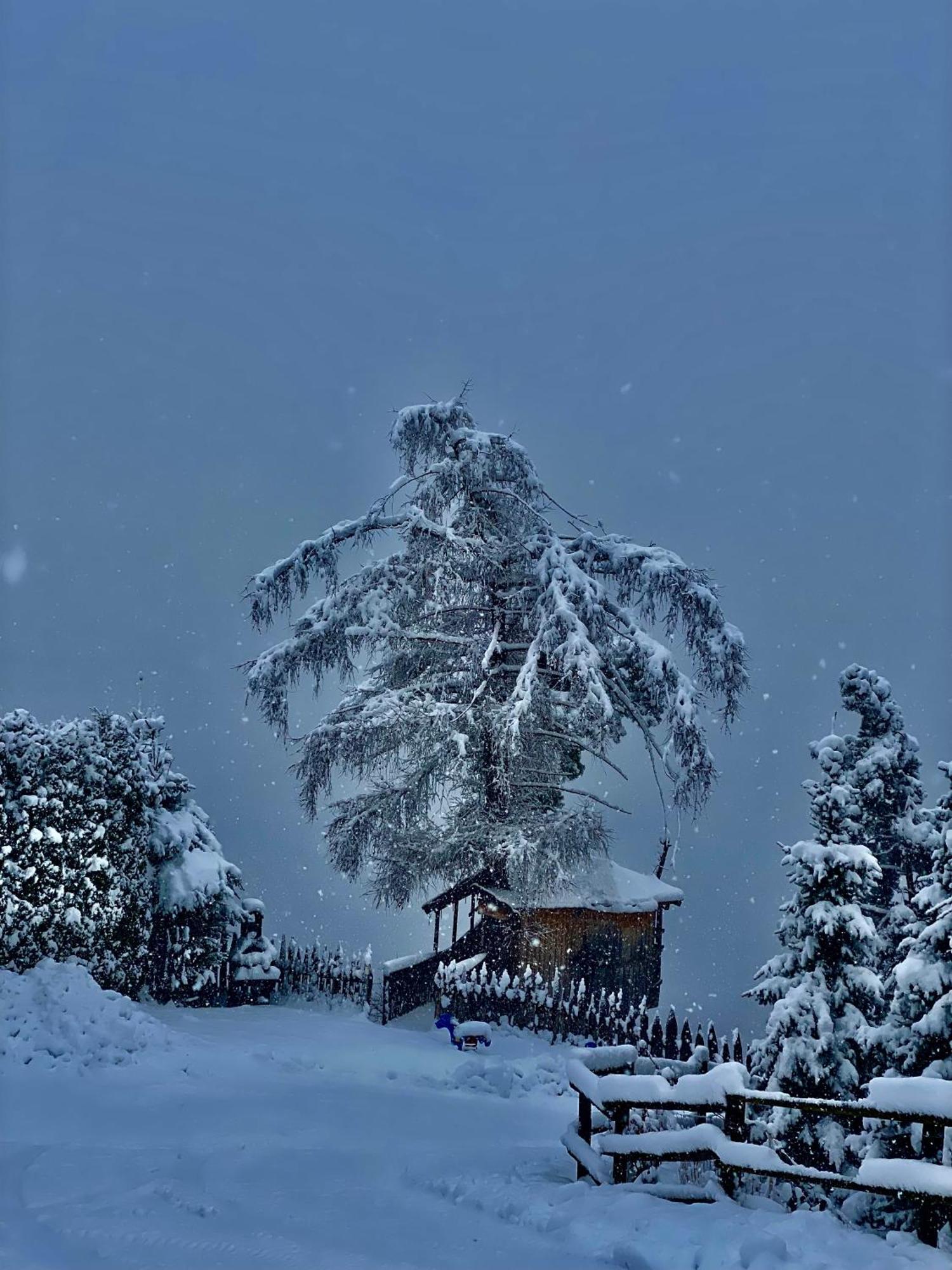 Oberprantschoellhof - Horse Mountain Stable Μπρεσανόνε Εξωτερικό φωτογραφία